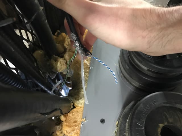 Winter Park Squirrels - Thanks to Patrick D for the photo